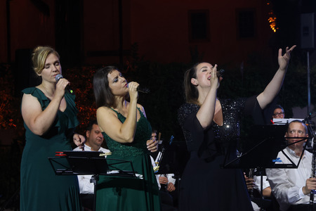 27. poletni večer ob Dnevu državnosti koncert Godbe Cerknica 41 Foto Ljubo Vukelič